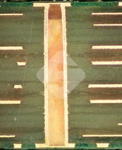 中国·1277星际电子游戏(股份有限公司)-Official website